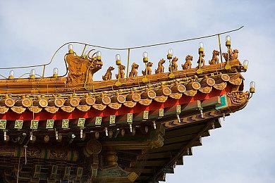 RTS游戏《蚂蚁帝国》11月7日发售 推荐RTX 3080显卡